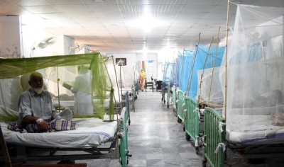 Pakistan: 32 new dengue cases reported in Rawalpindi and Islamabad (File image)