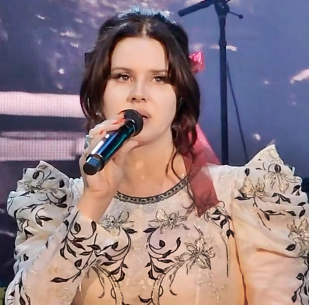 Lana Del Rey sheds light on meaning of her new song 'Bluebird'