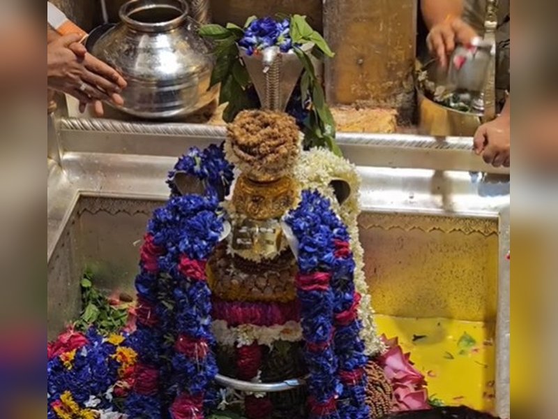 नाग पंचमी : नाग देवता की पूजा से मिलेगी संकटों से मुक्ति, मिटेगा दोष 