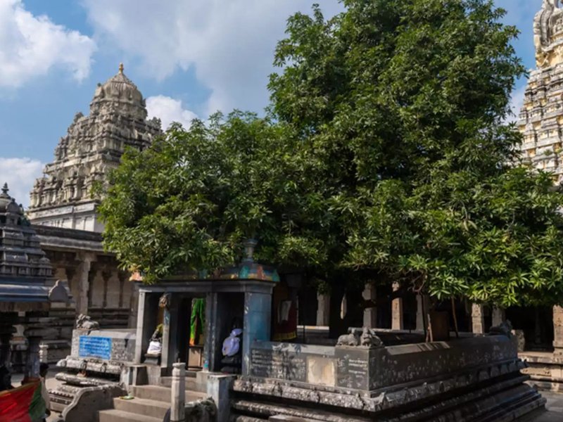 सावन विशेष : 600 ईस्वी के इस मंदिर में पृथ्वी तत्व के रूप में होती है महादेव की पूजा, माता पार्वती ने यहीं दी थी परीक्षा