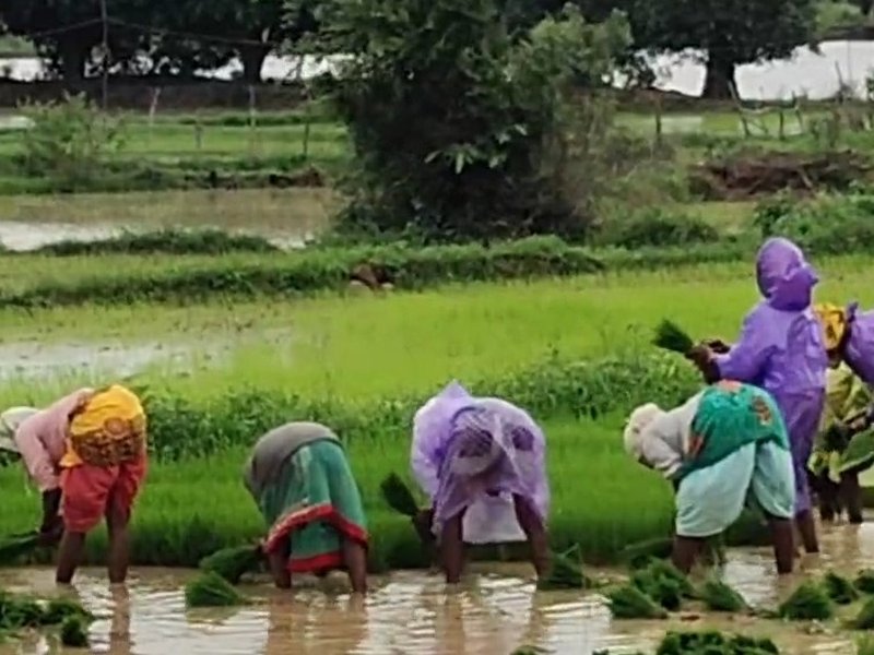 PM Kisan Samman Nidhi Scheme