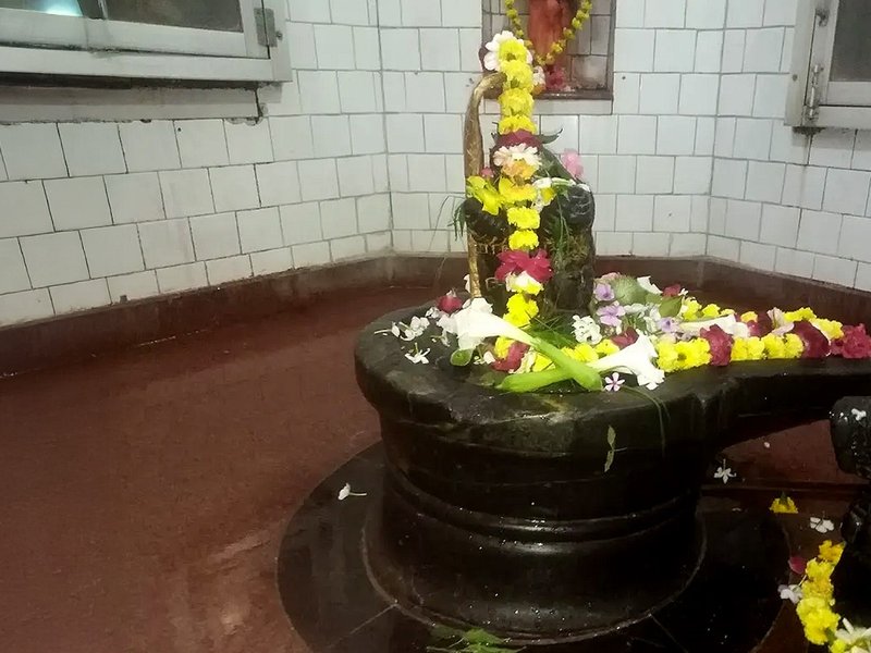 सावन विशेष: 400 वर्ष प्राचीन शिवालय में महादेव की सेवा में रत रहते हैं दर्जनों नाग, पंचमुखी शिवलिंग के स्पर्श से दूर होते हैं कई रोग 