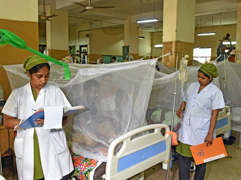 Bangladesh: Three more people die due to dengue, 2025 death toll crosses 100