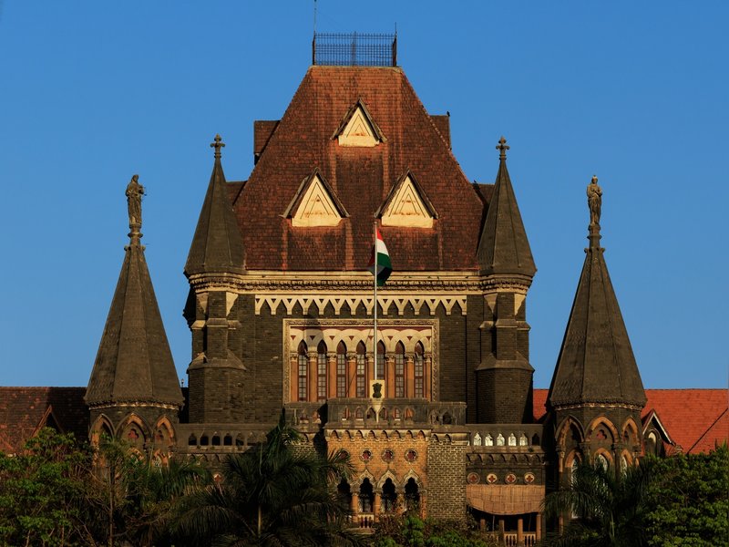 आवारा कुत्तों के बाद अब कबूतरों पर कार्रवाई, बॉम्बे हाईकोर्ट से दाना डालने पर रोक बरकरार
