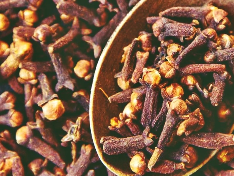 इम्यून सिस्टम को बूस्ट और पाचन तंत्र को दुरुस्त करता है लौंग, मगर ये सावधानियां भी हैं जरूरी