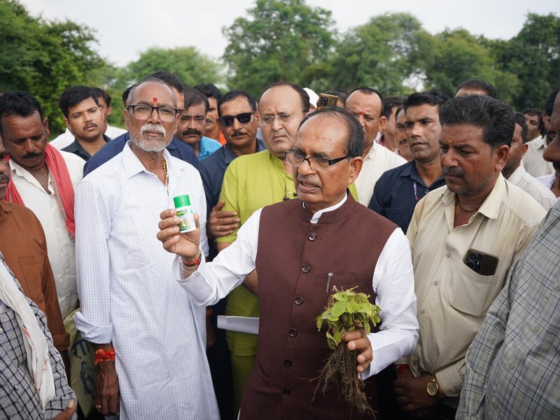 किसानों की जली फसल शिवराज चौहान ने जताई नाराजगी, कहा- दोषी कंपनी पर होगी सख्त कार्रवाई