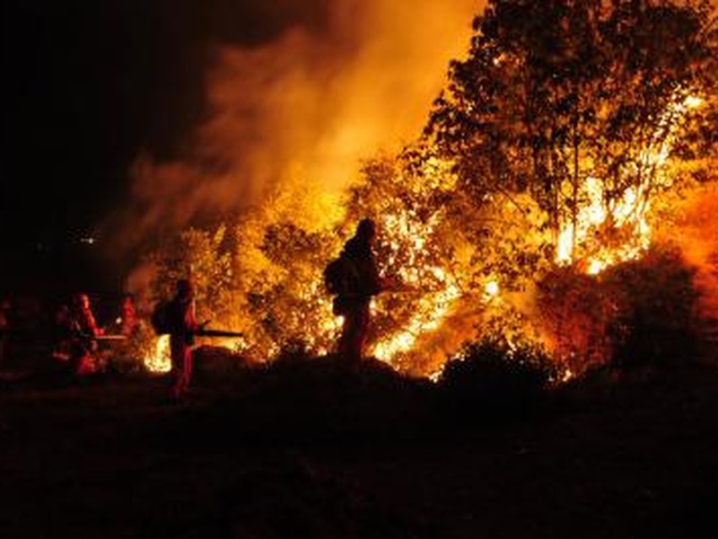 Wildfires in Spain signal growing climate risks for Europe, expert warns