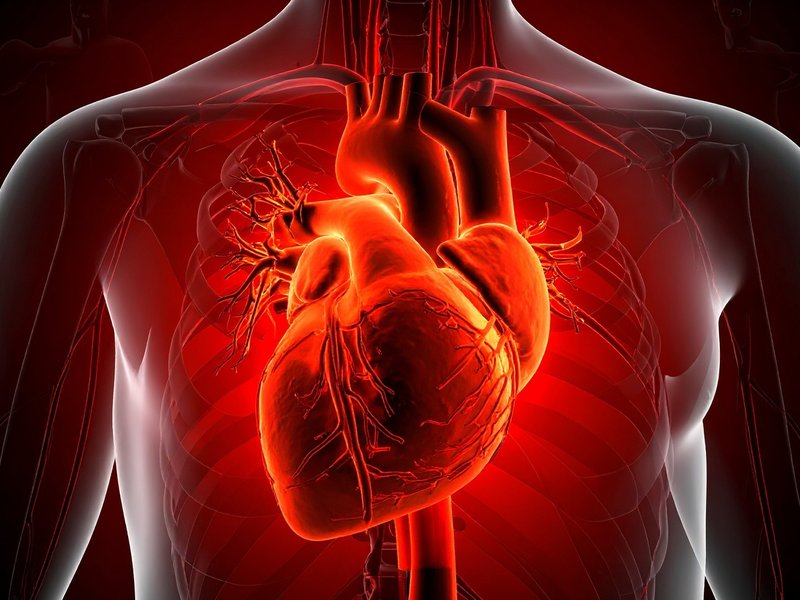 Common heart attack drug may raise death risk in some women: Study
