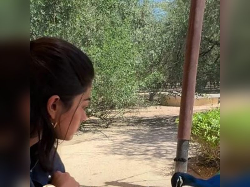 Rashmika Mandanna feeds a Peacock, calls being close to nature 'liberating'