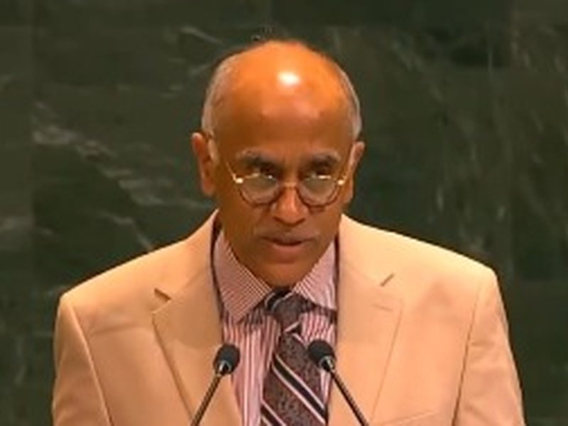 P. Harish, India's permanent representative in UN