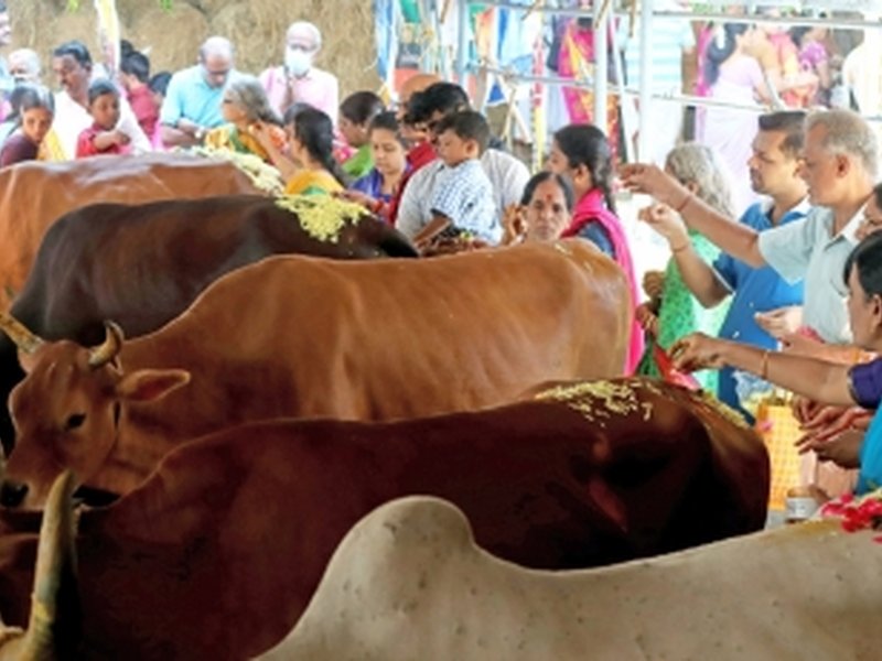जीएसटी में बदलाव से सहकारी क्षेत्र और 10 करोड़ डेयरी किसानों को बढ़ावा मिलेगा : सरकार