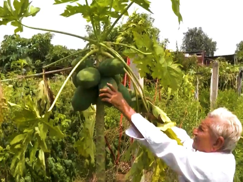 गुजरात के किसानों के आर्थिक सशक्तिकरण में सहायक साबित हो रही सॉयल हेल्थ कार्ड योजना