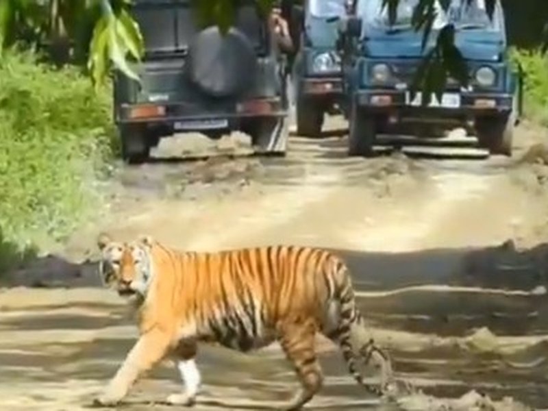 असम में 6,957 करोड़ रुपए की इंफ्रास्ट्रक्चर परियोजना को कैबिनेट की मंजूरी राज्य में इको-टूरिज्म को देगी बढ़ावा : सर्बानंद सोनोवाल