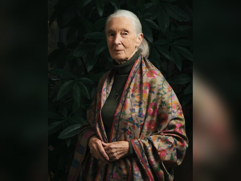 jane goodall