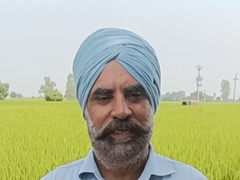 पंजाब: किसानों ने रबी फसलों की एमएसपी बढ़ोतरी को बताया लाभकारी, सरकार का जताया आभार 