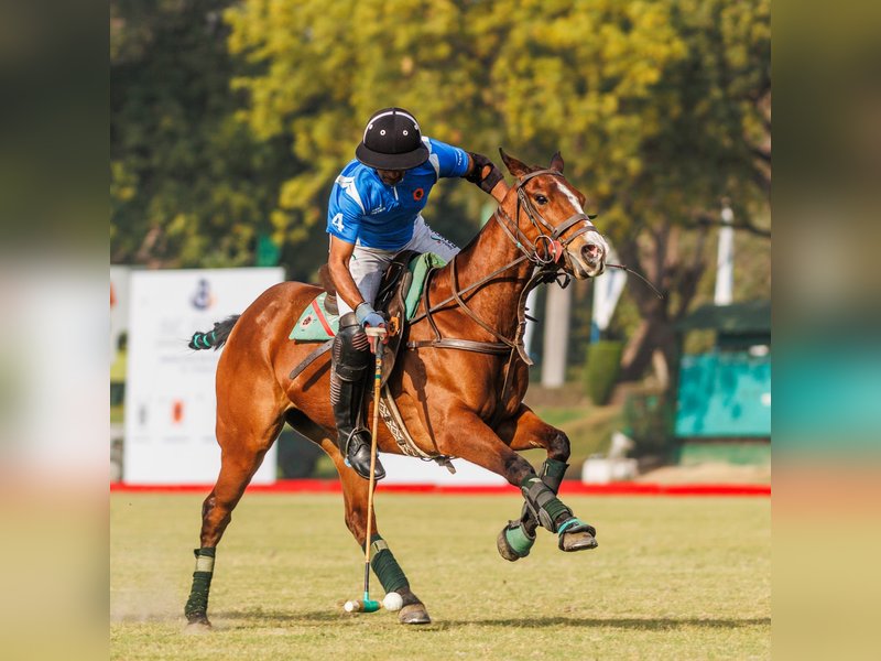 More grassroots tournaments vital to polo's growth in India: Simran Singh Shergill