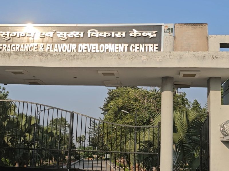 कन्नौज में गुलाब की खुशबू से महक रही किसानों की जिंदगी, सरकार की मदद से बढ़ी आमदनी