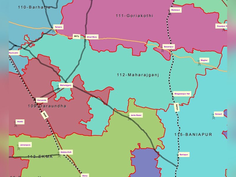 बिहार चुनाव:  महाराजगंज में परिवर्तन और समीकरणों की दिलचस्प कहानी, मुद्दों और जातीय समीकरणों का केंद्र