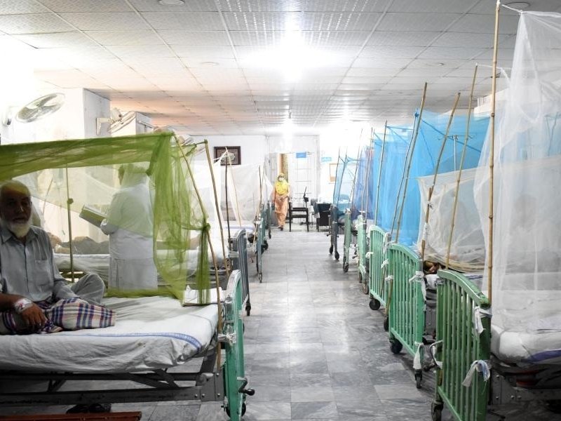 Rising dengue cases in hospitals suggest outbreak-like situation in Pakistan’s Karachi, Hyderabad  IANS LIVE