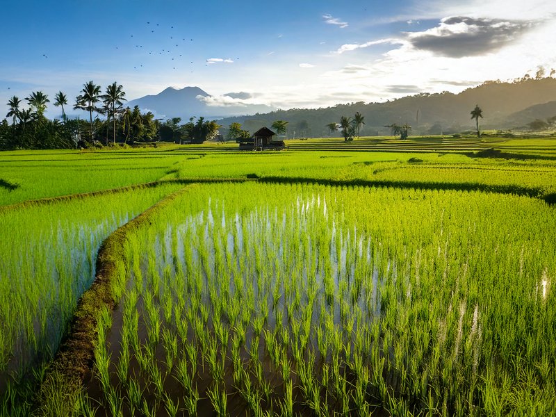 कोल्ड चेन योजना रोजगार को दे रही बढ़ावा, किसानों की बढ़ा रही आय