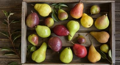 डायबिटीज मरीजों के लिए नाशपाती वरदान, दिल का भी रखता है ख्याल pear benefits