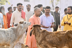 सीएम योगी का विजन-गऊ माता की कृपा से यूपी बनेगा वन ट्रिलियन इकोनॉमी 