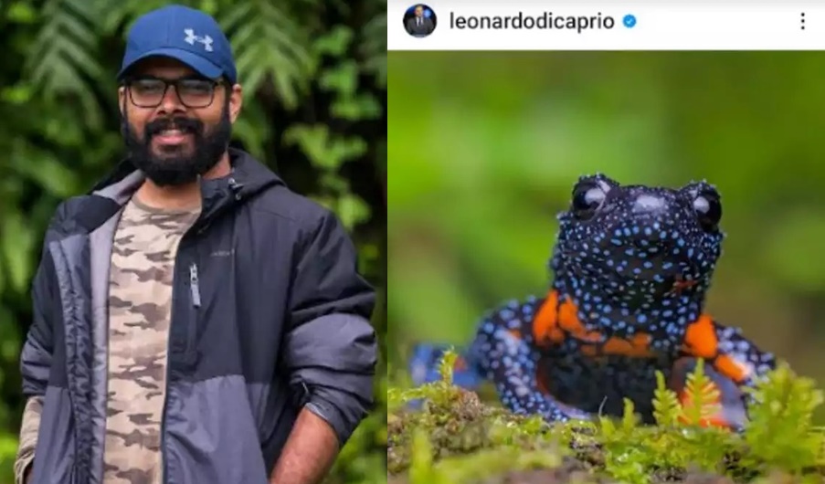 Leo DiCaprio shares picture of galaxy frog shot by Indian researcher in the Western Ghats