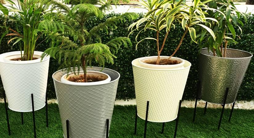 5 Tips To Creating A Green Corner In Every Room 5 Tips To Creating A Green Corner In Every Room-TeluguStop.com