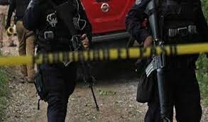 11 killed in armed conflict in Mexico 11 killed in armed conflict in Mexico