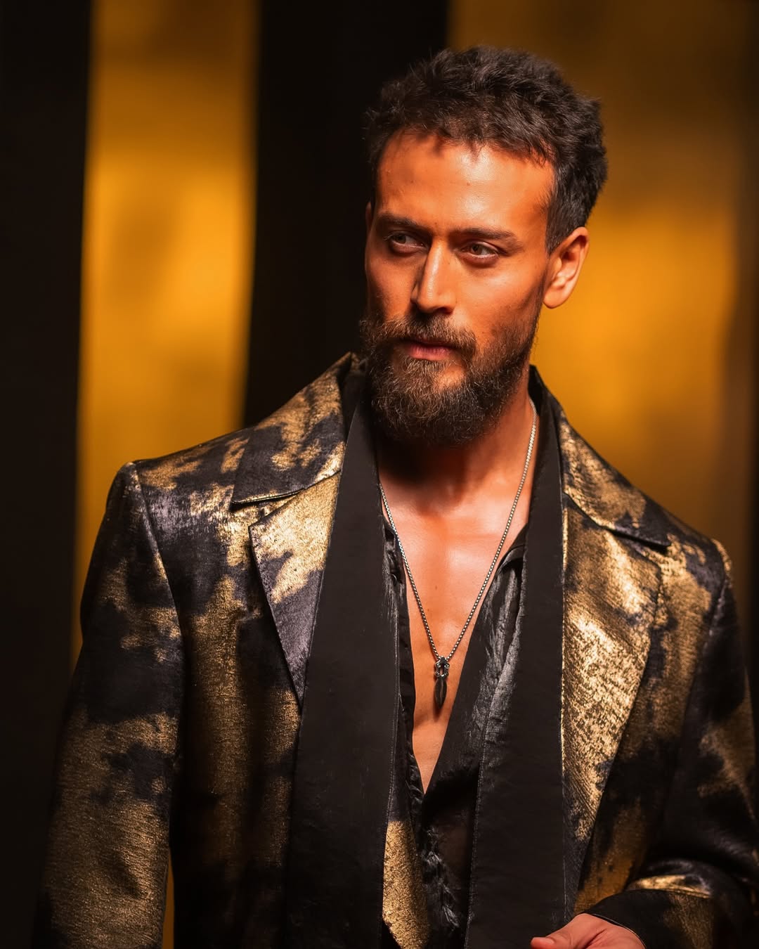 Tiger Shroff's SHOCKING Transformation From Belly Fat to Ripped Abs