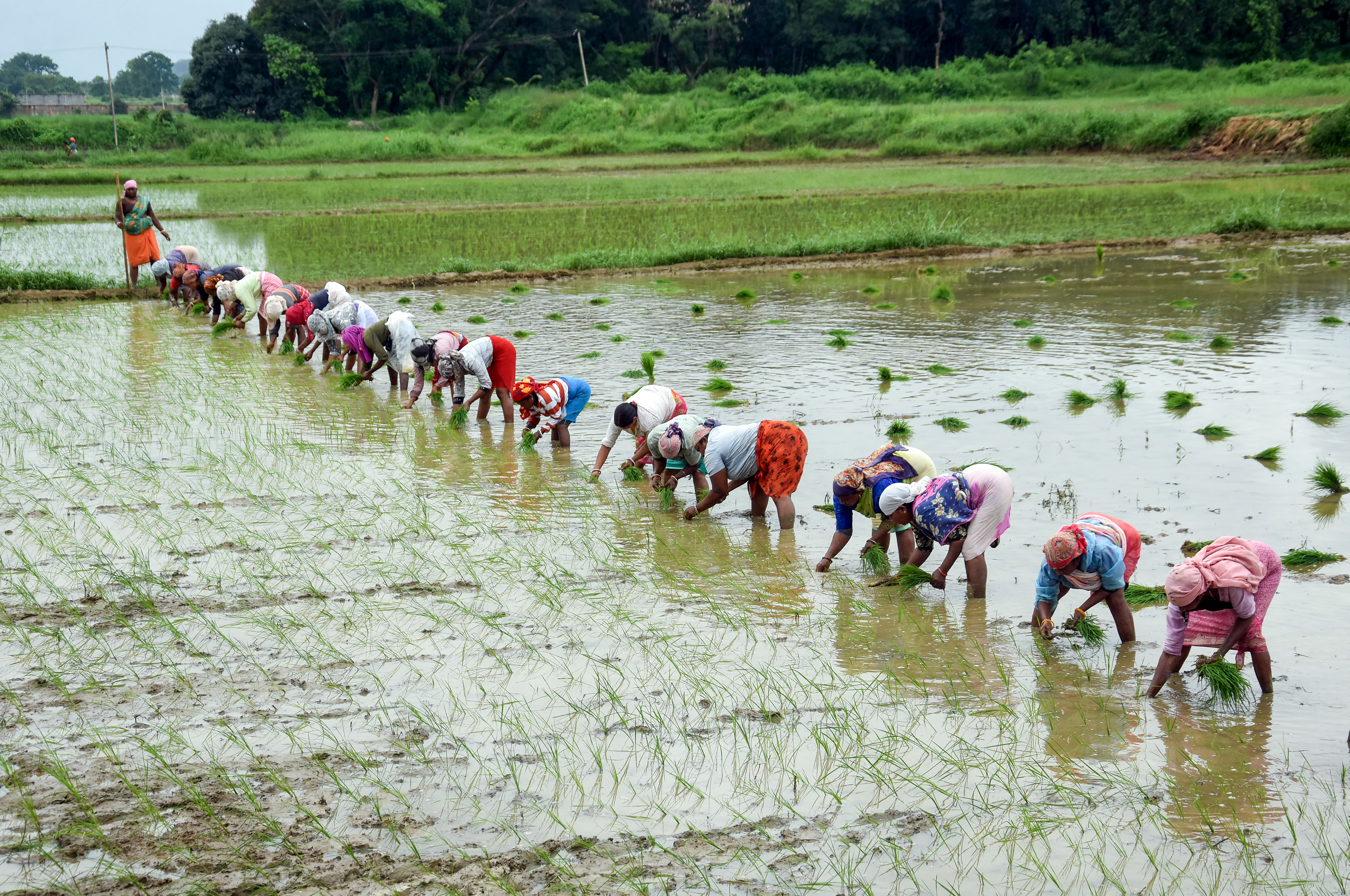 El Nino preparedness kharif sowing monsoon improvement