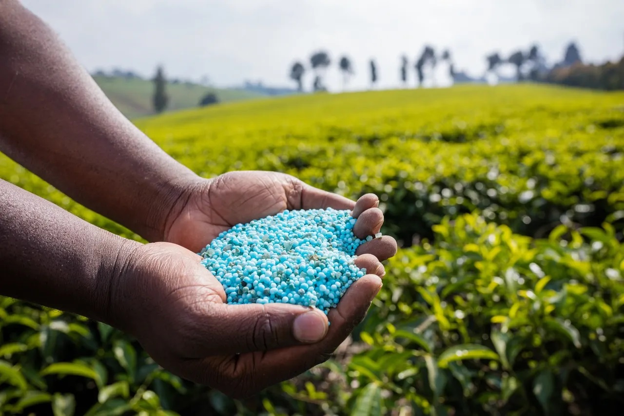 PM Modi Assures Ample Fertiliser Reserves, Highlights Ethanol Blending Oil Savings