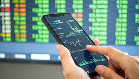 Domestic investors cushion market fall amid foreign outflows chart