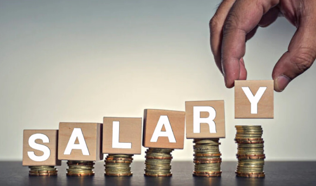 Indian CEOs median pay report FY26 Deloitte India analysis