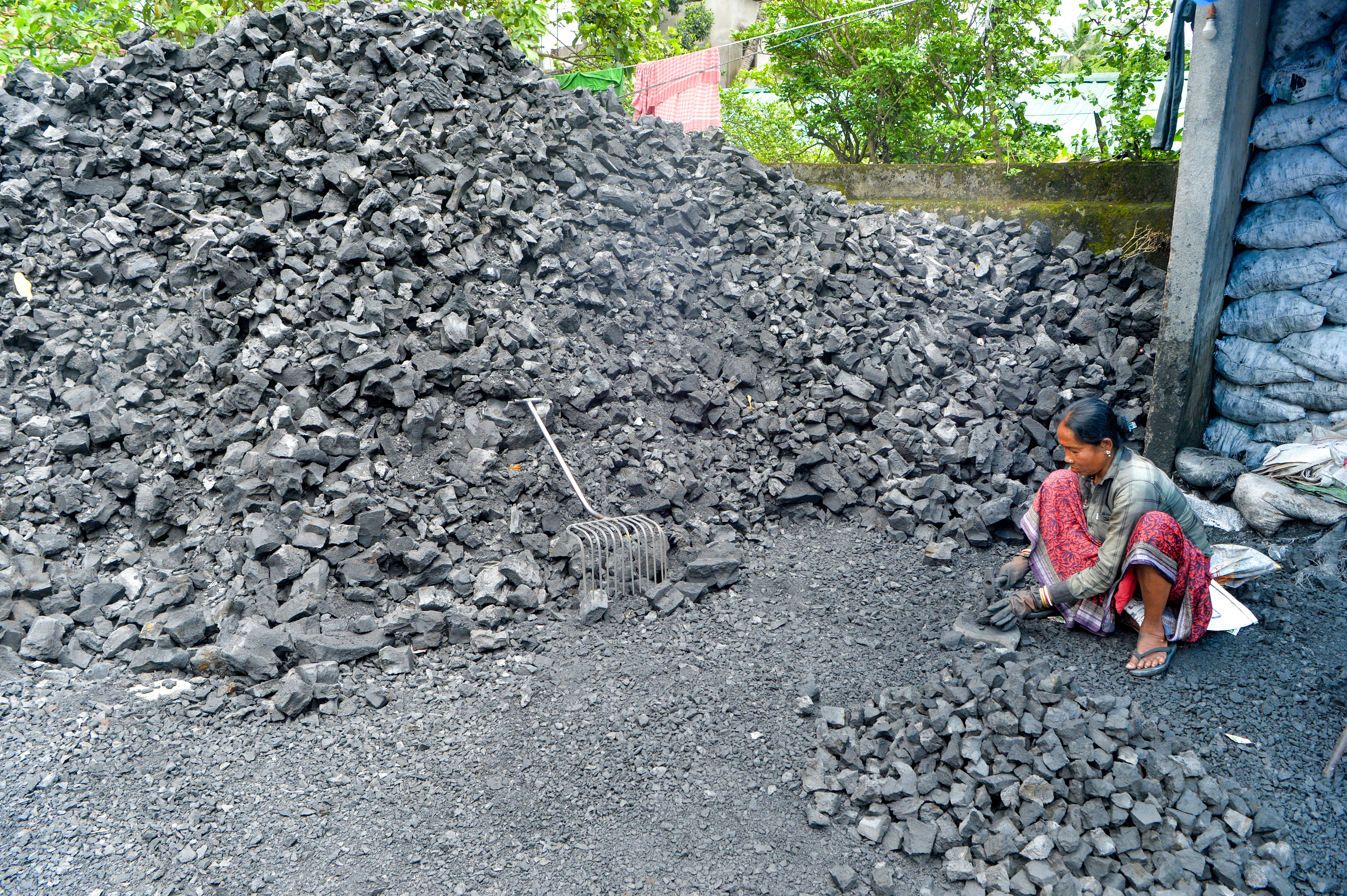 Coal monetary asset accounts discussion paper released by India government