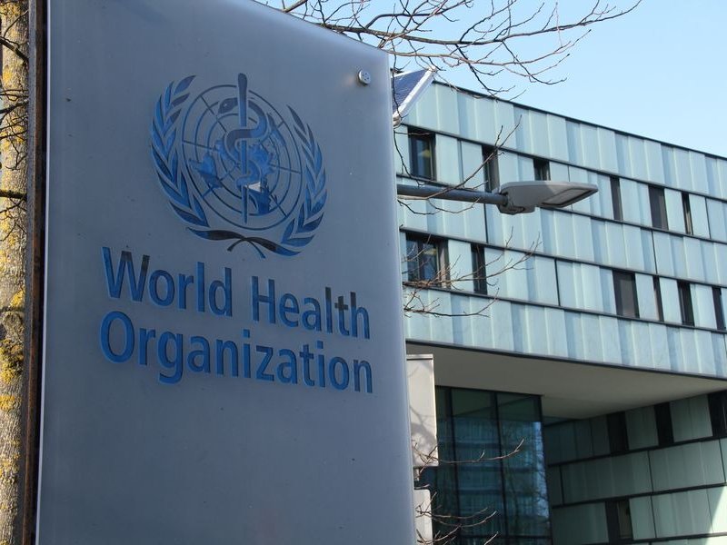Hantavirus Cases Confirmed by WHO: 5 Andes Virus Infections, 12 Countries Informed