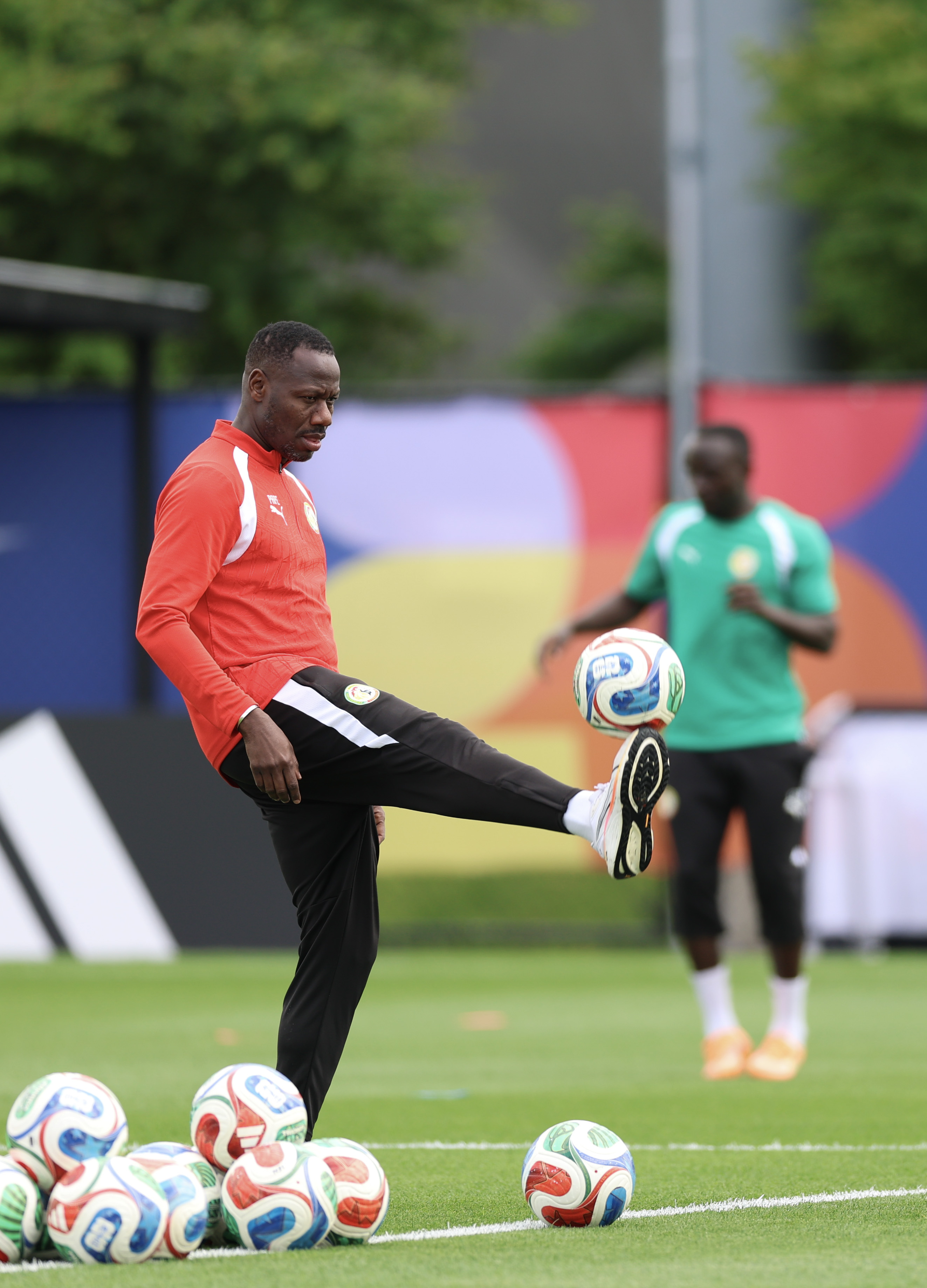 FIFA WC: Senegal sacks head coach Pape Thiaw after round of 32 exit