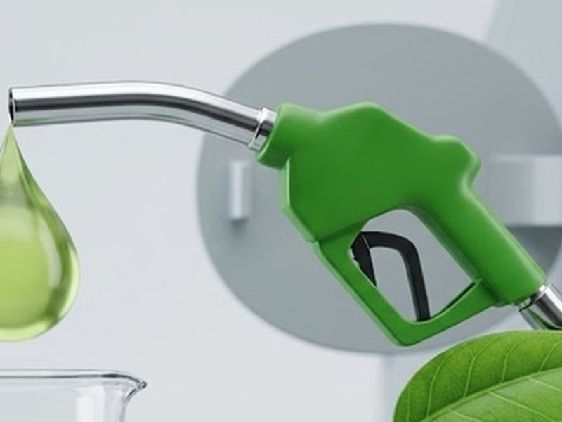 E20 ethanol blending programme multi-year initiative stakeholders