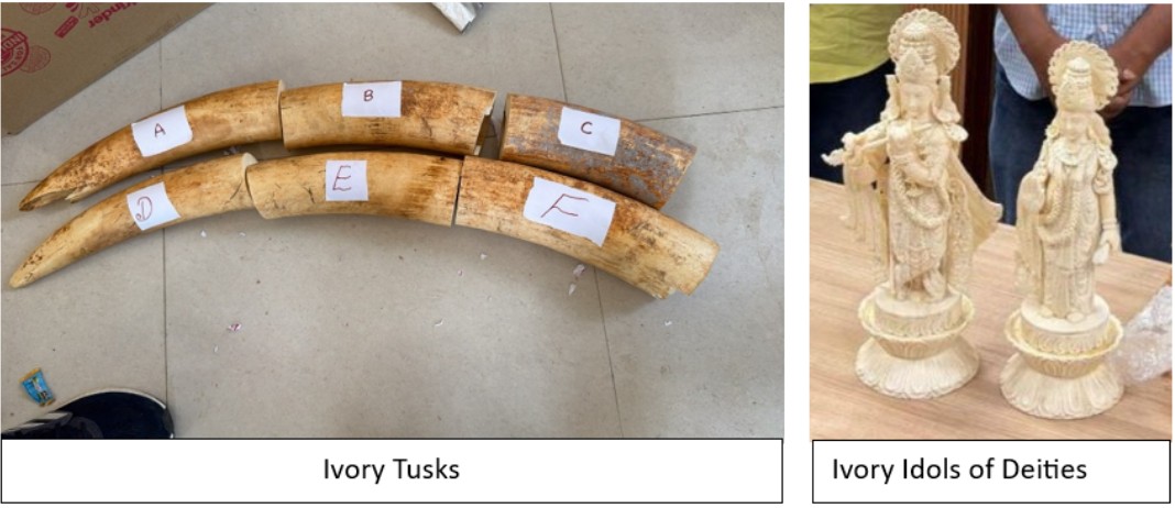 DRI seizes wildlife products; arrests 33, busts trafficking rackets