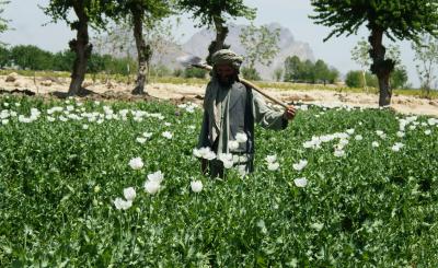 Balochistan chaos gives ISI fresh opportunity to push drugs into India