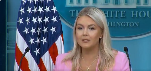 Trump to unveil election integrity findings