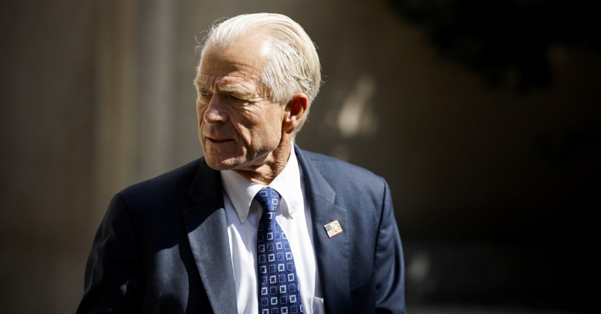 Trump official Peter Navarro urges election overhaul