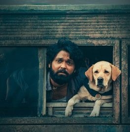 National Awards: '777 Charlie' wins Best Kannada Film National Awards: '777 Charlie' wins Best Kannada Film