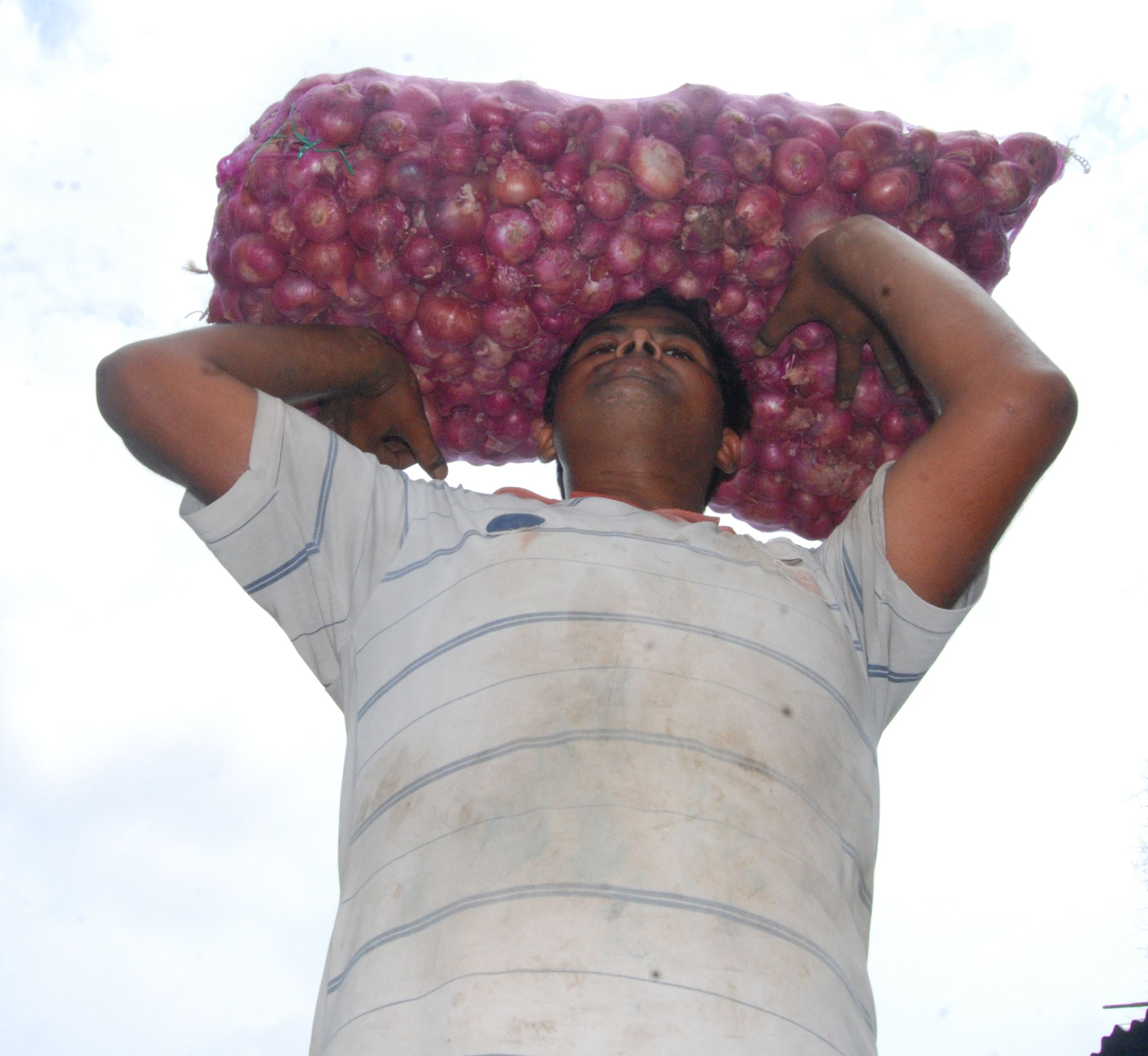  Steady Rise In Onion Prices Triggers Concern In K’taka-TeluguStop.com