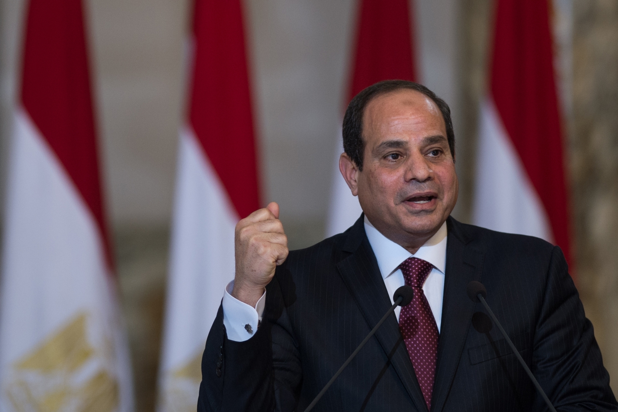 Egyptian prez says solutions to global conflicts should base on UN Charter, int'l law