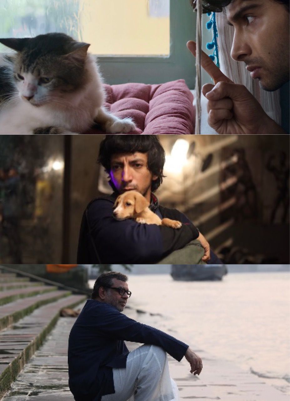 'Max, Min & Meowzaki', 'Lakadbaggha' get Stuttgart Indian film fest top awards (Lead)