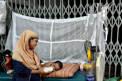 Bangladesh: Three more dengue patients die, death toll in 2025 rises to 73