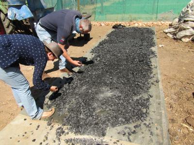 Namibia unveils strategy to achieve food sovereignty, cut agricultural imports