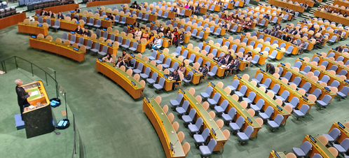 Palestine overshadows UNGA session of world leaders Palestine overshadows UNGA session of world leaders