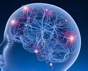 Study finds common genetic variants linked to drug-resistant epilepsy